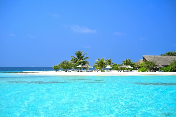 Quels sont les meilleurs itinéraires pour une randonnée en pleine nature en Irlande?